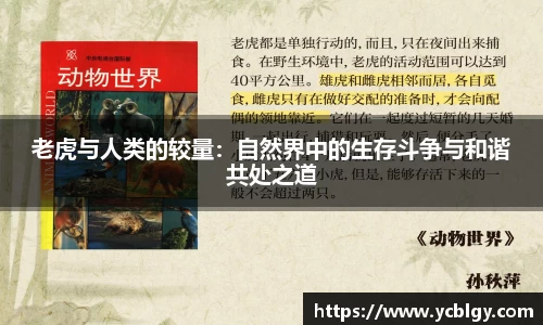 老虎与人类的较量：自然界中的生存斗争与和谐共处之道